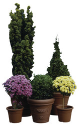 Similar image 8142557