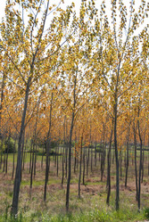 Similar image 8142564