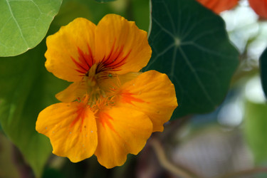 Similar image 8142575