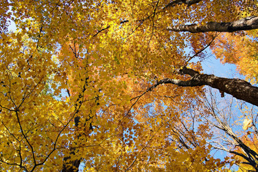 Similar image 8142617