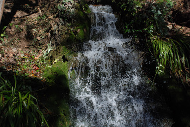 Similar image 8142628