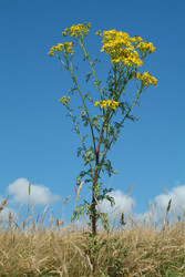 Similar image 8142630