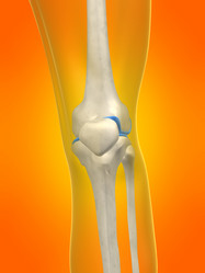 Similar image 8142659