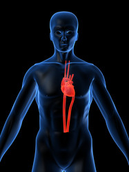 Similar image 8142663