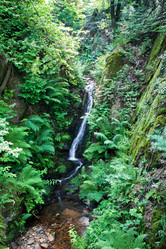 Similar image 8142668