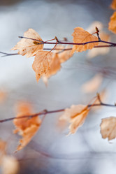 Similar image 8142669