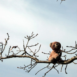 Similar image 8142679