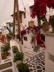 Similar image 8142700