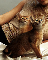 Similar image 8142730