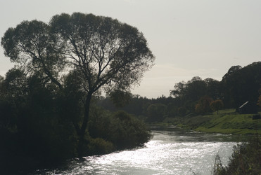 Similar image 8142741