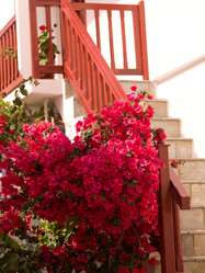 Similar image 8142744