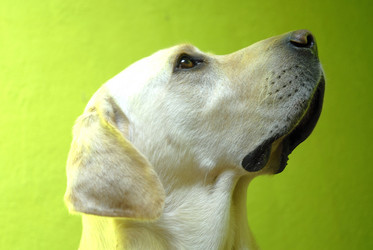 Similar image 8142754