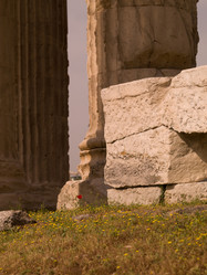 Similar image 8142803