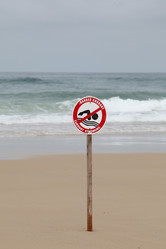 Similar image 8142819