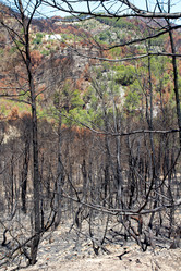 Similar image 8142858