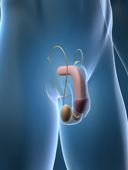 Similar image 8142872