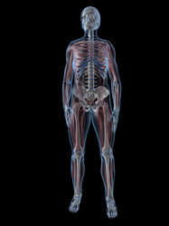 Similar image 8142896