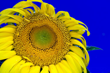 Similar image 8142917