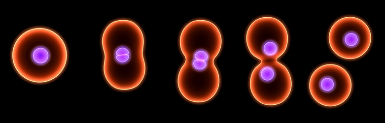 Similar image 8142918