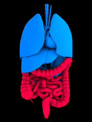 Similar image 8142938