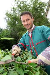 Similar image 8142941