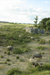 Similar image 8142967