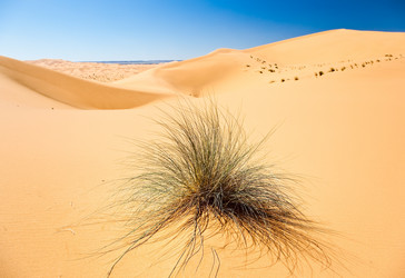 Similar image 8142976