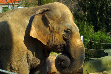 Similar image 8142990