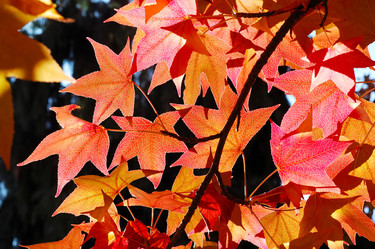 Similar image 8143026