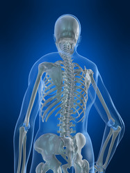 Similar image 8143037