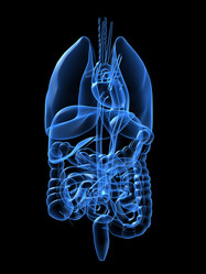 Similar image 8143078