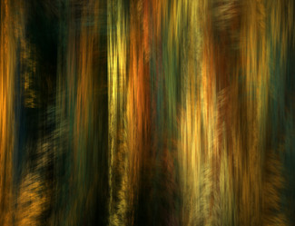 Similar image 8143087