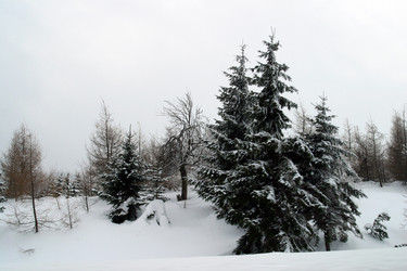 Similar image 8143096