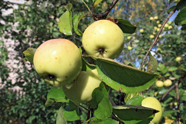 Similar image 8143101