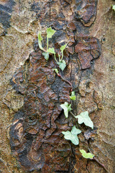 Similar image 8143105