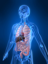 Similar image 8143113