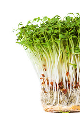 Similar image 8143193