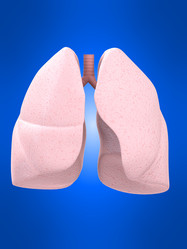 Similar image 8143197