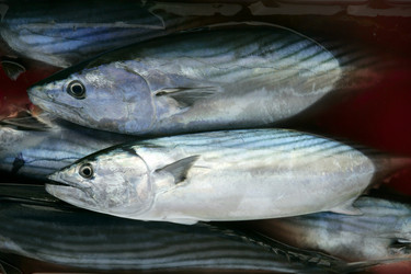 Similar image 8143200