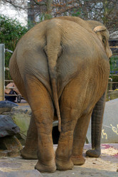 Similar image 8143226