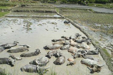 Similar image 8143264