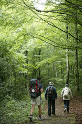 Similar image 8143297