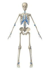 Similar image 8143310