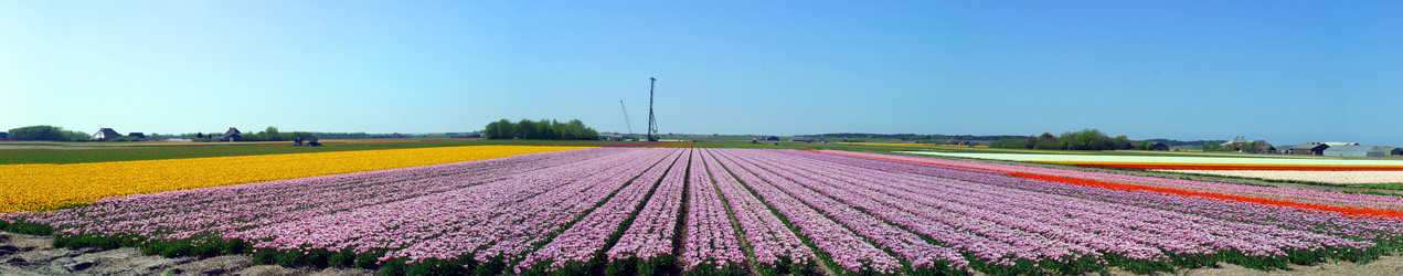 Similar image 8143312