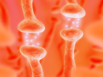 Similar image 8143318