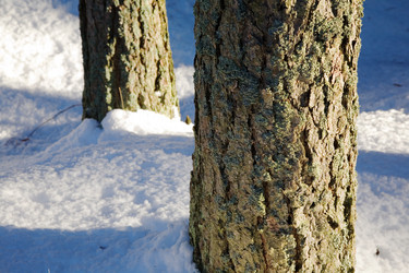 Similar image 8143343