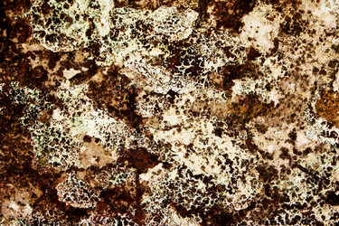 Similar image 8143399