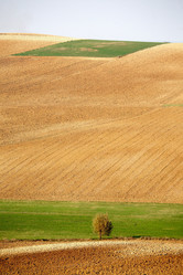 Similar image 8143444