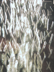 Similar image 8143446