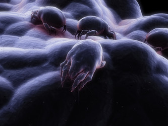 Similar image 8143452